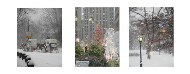 nywinter.jpg