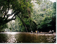 s_013.jpg